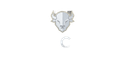Bison Casino